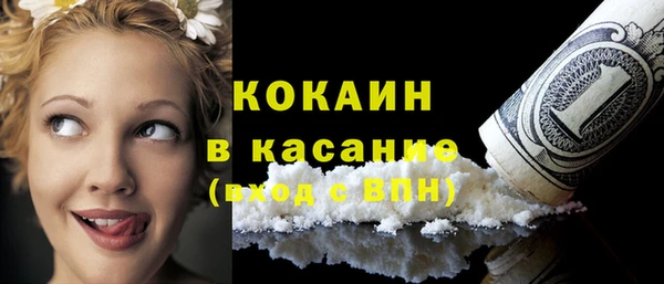 прущие грибы Абаза