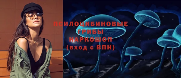 индика Абдулино