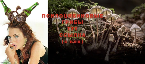 ALPHA PVP Алзамай