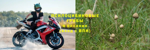 индика Абдулино