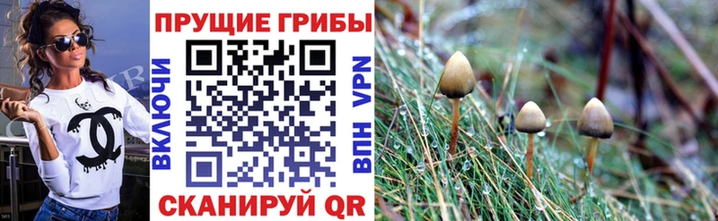 Галлюциногенные грибы мицелий Чебоксары